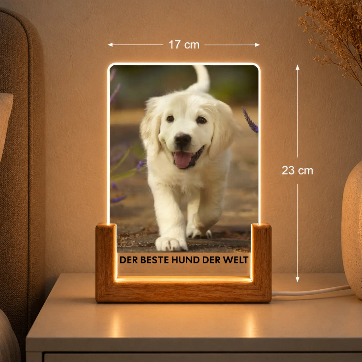 Hundefoto Acryl-Licht