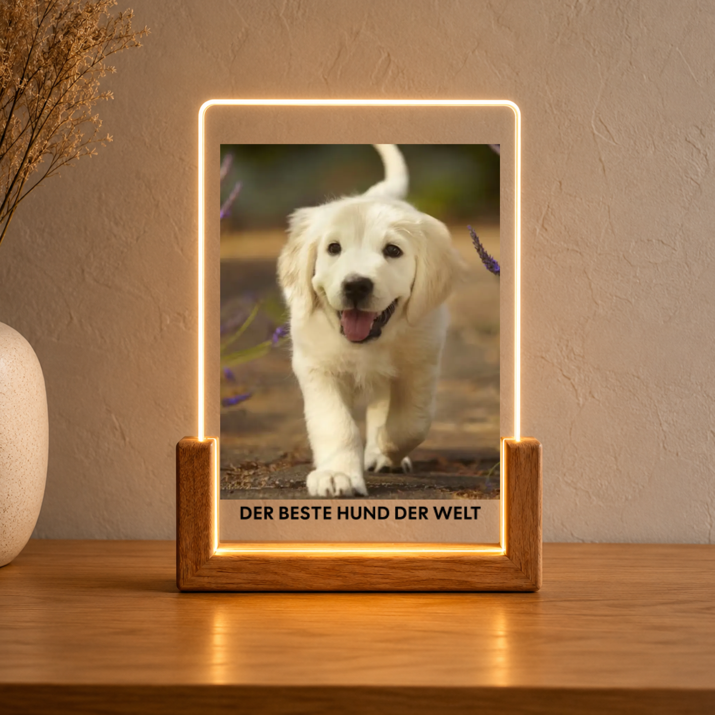 Hundefoto Acryl-Licht