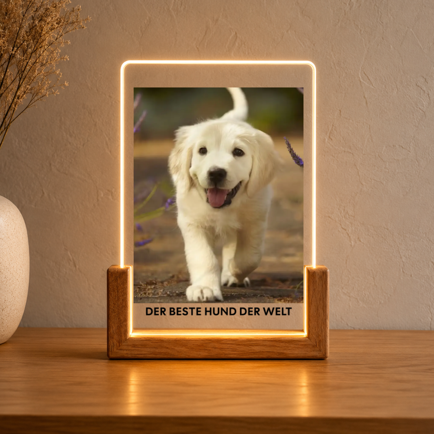 Hundefoto Acryl-Licht