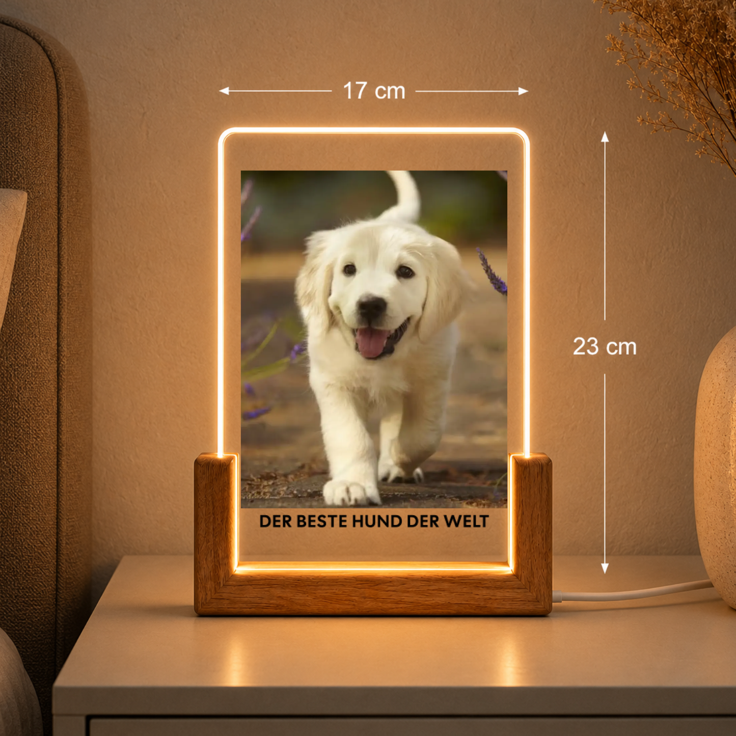 Hundefoto Acryl-Licht