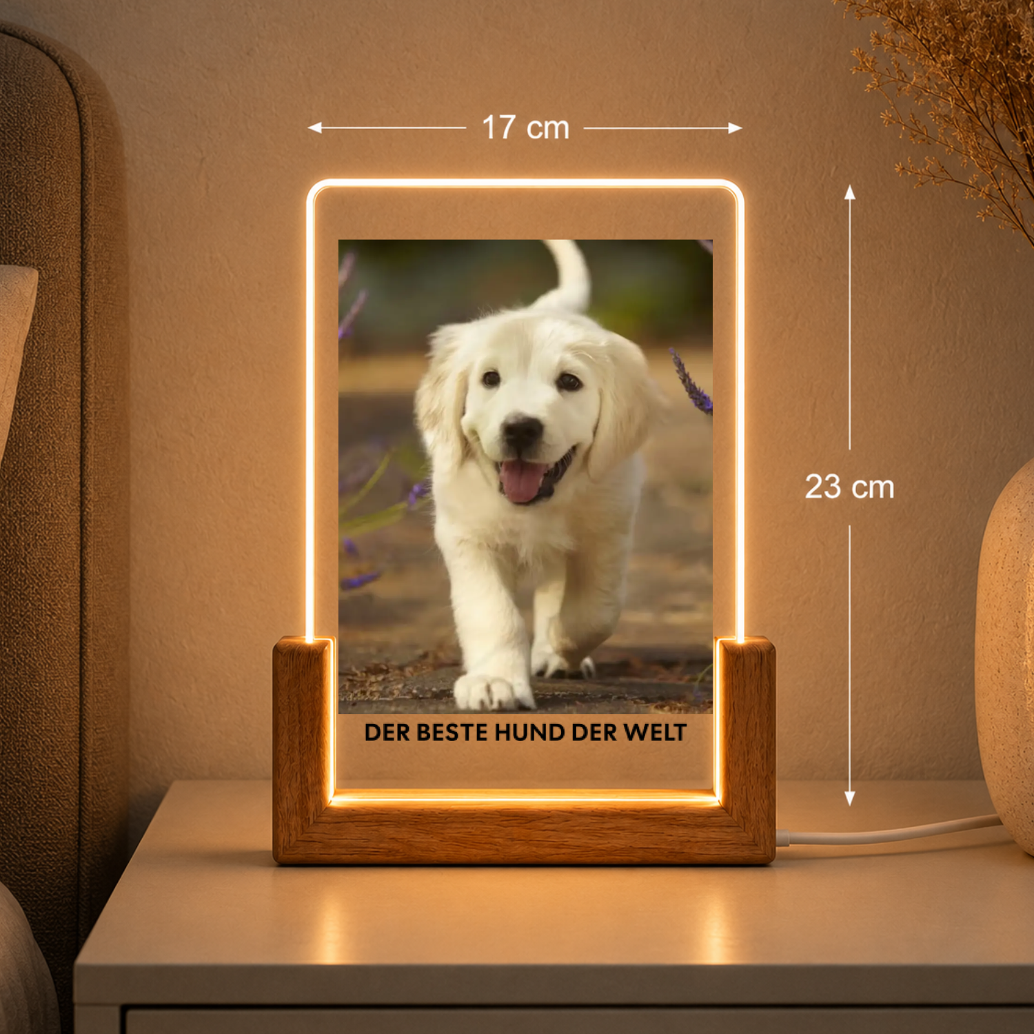 Hundefoto Acryl-Licht