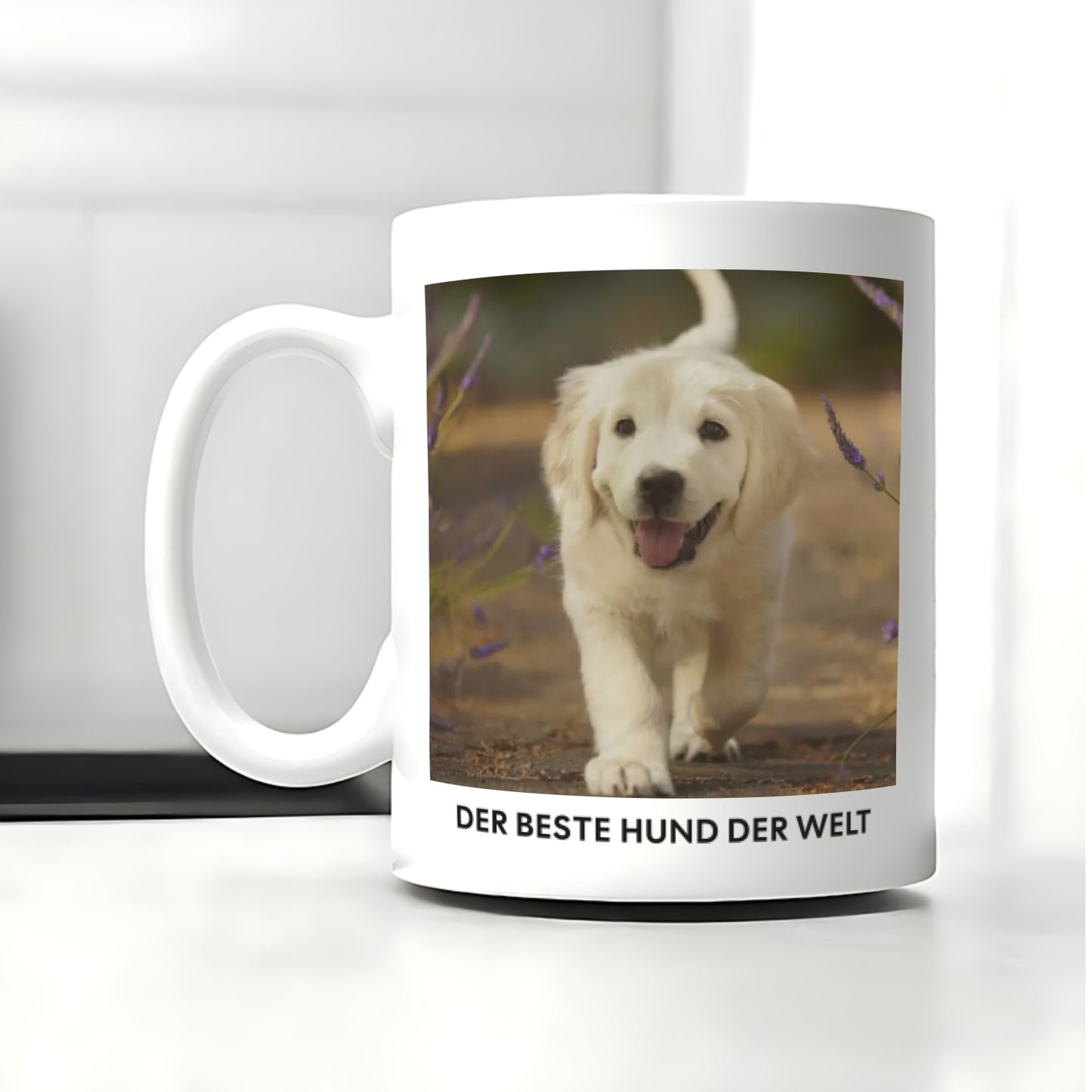 Hundefoto Tasse
