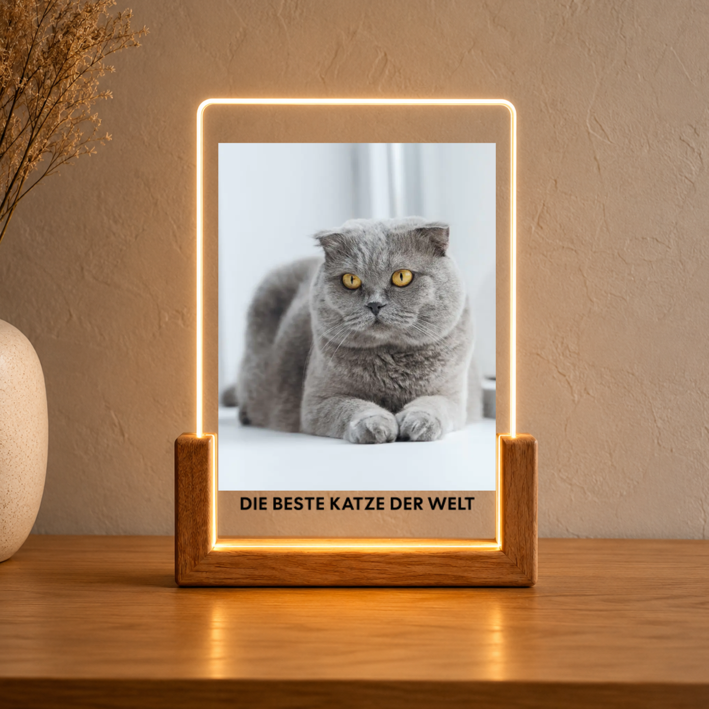 Katzenfoto Acryl-Licht