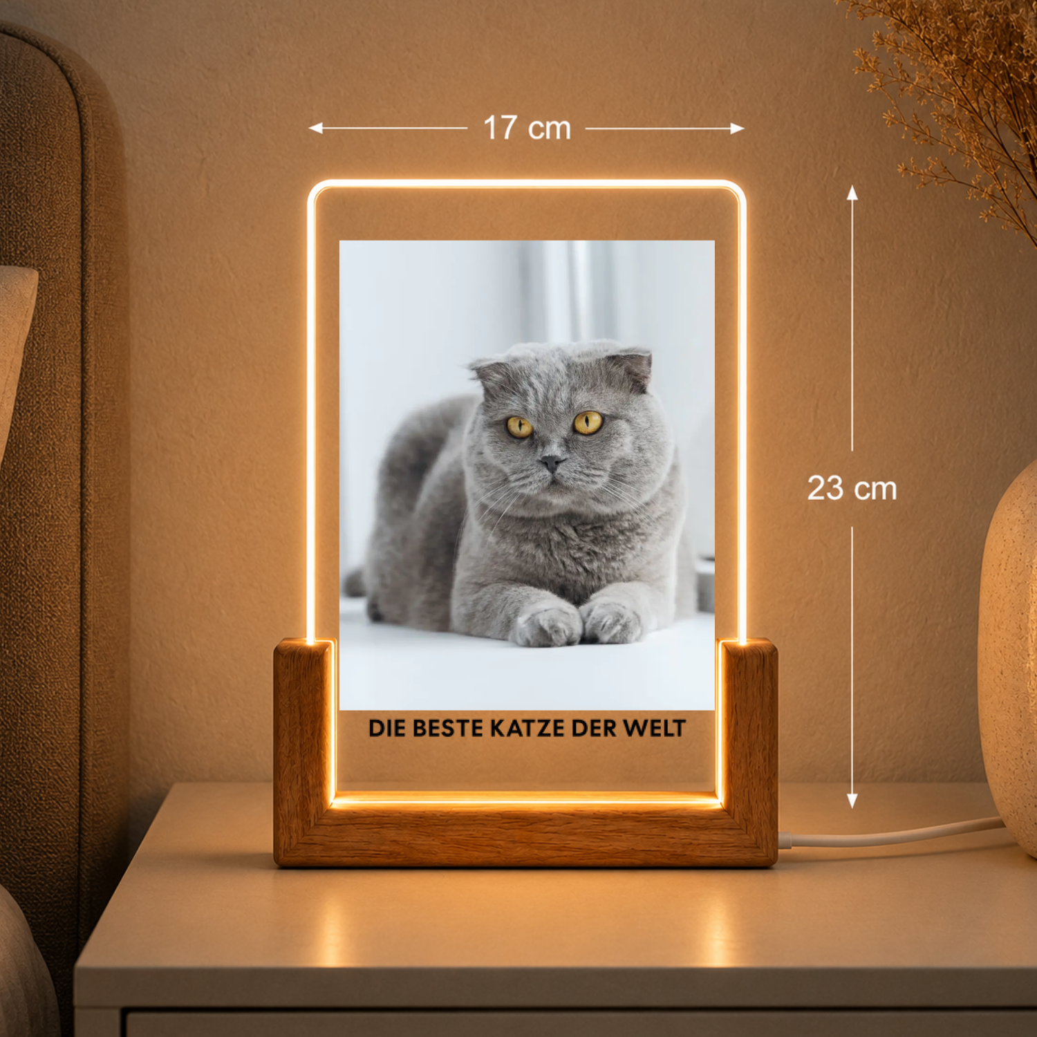 Katzenfoto Acryl-Licht