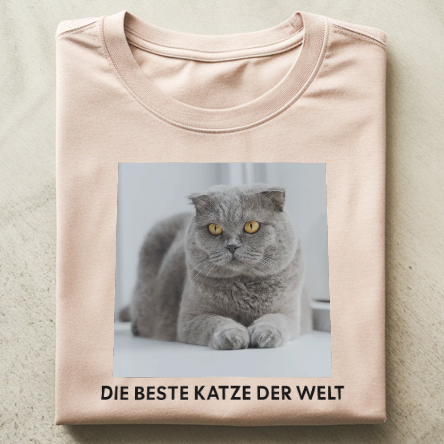 Katzenfoto