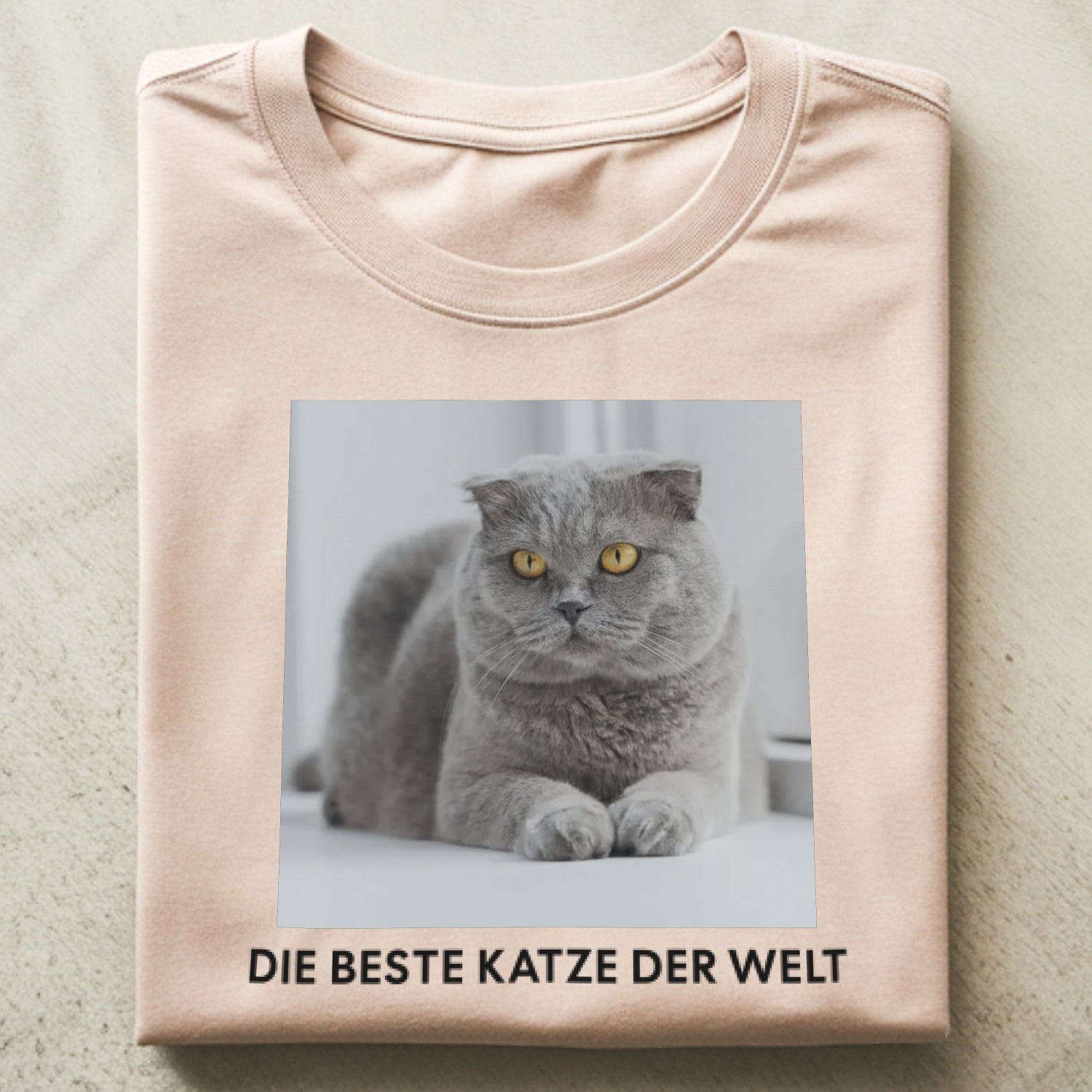 Katzenfoto