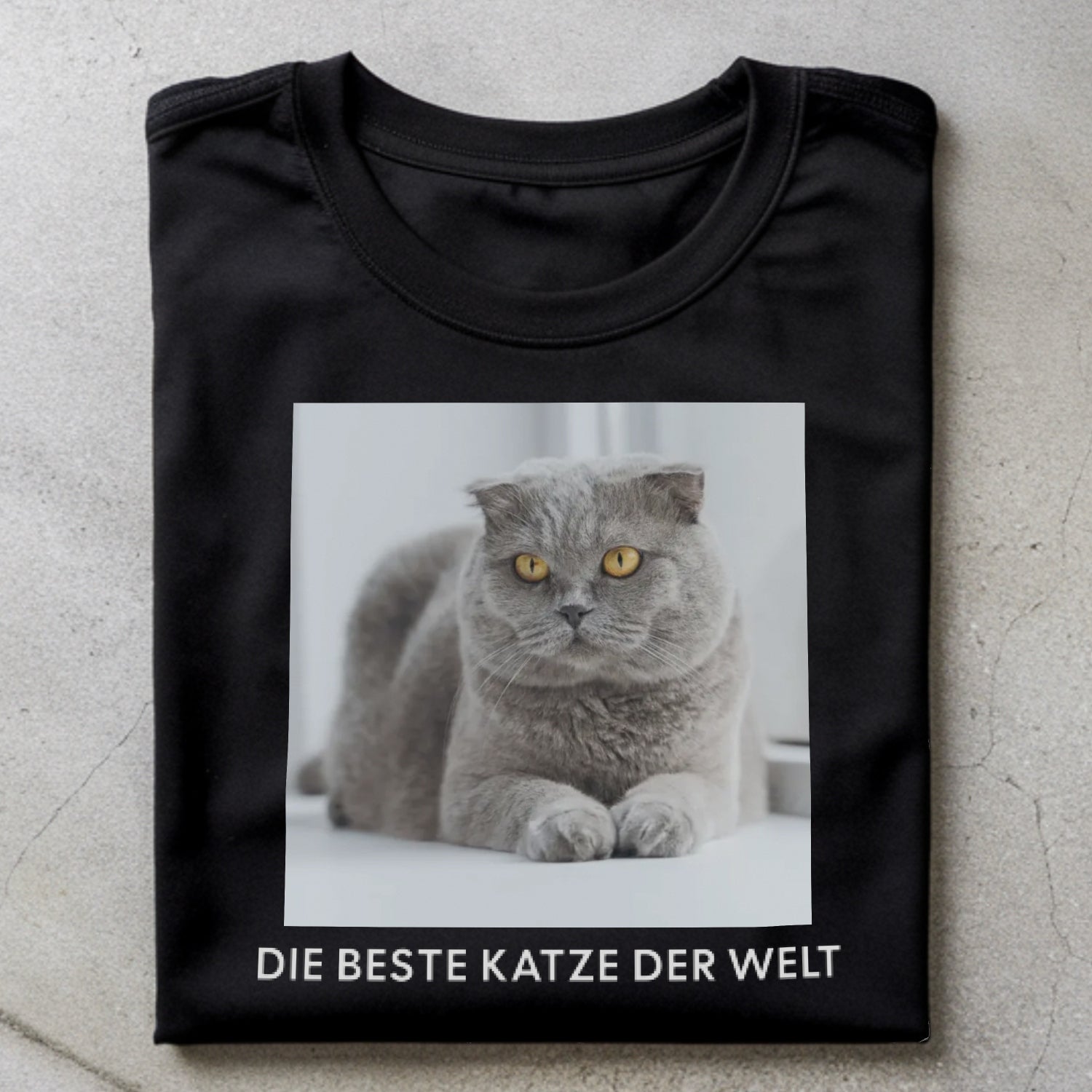 Katzenfoto