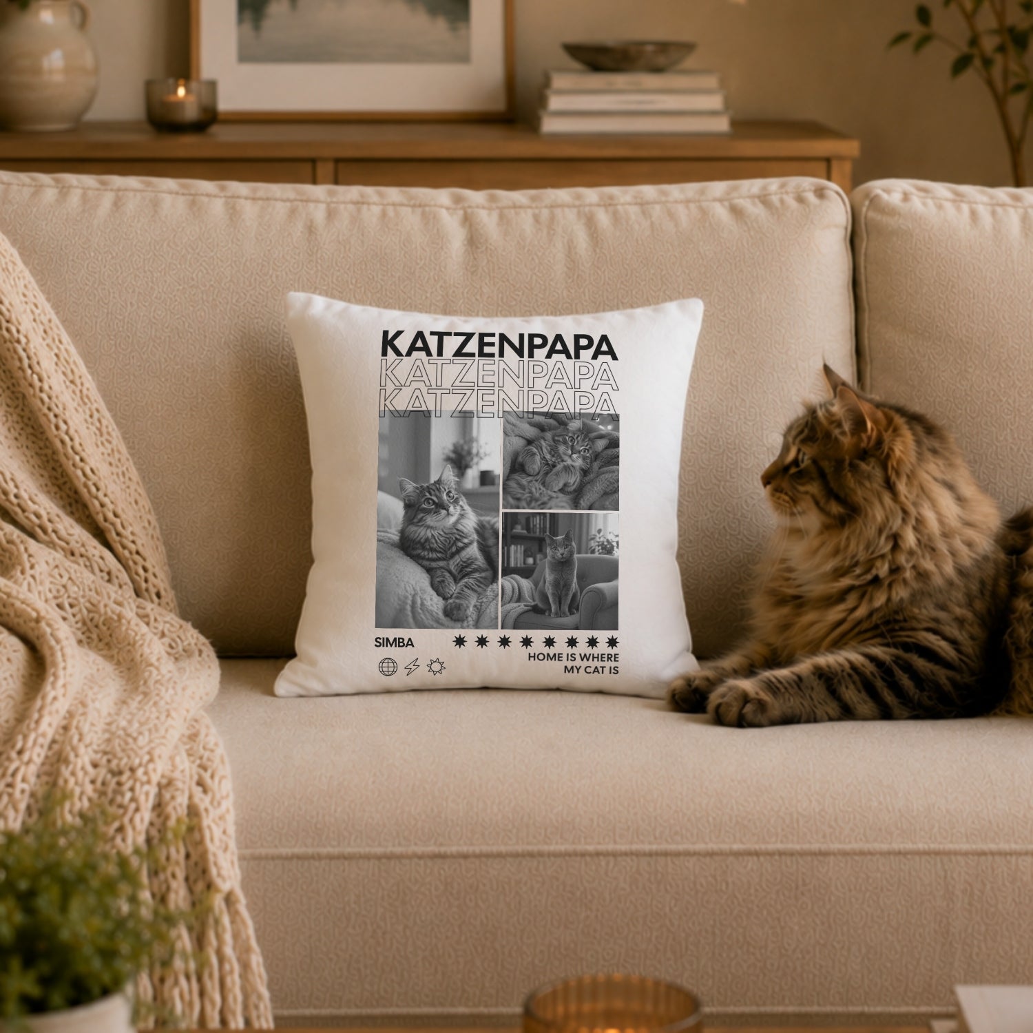 Katzenpapa Kissen